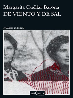 cover image of de viento y de sal